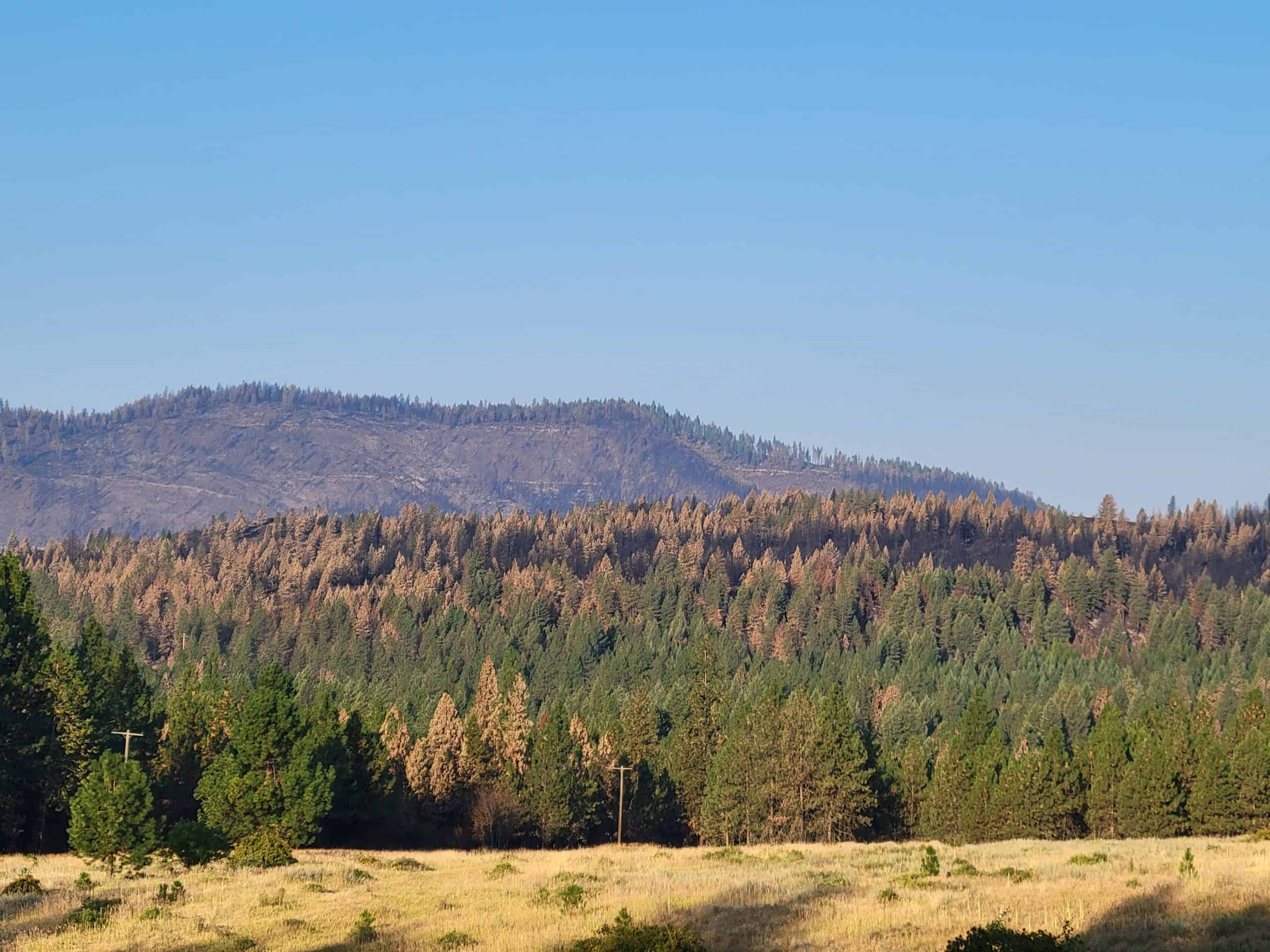 Coming Home: Gratitude, Guilt, and Grace After the Fire